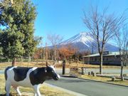 usaさんのあさぎりフードパークの投稿写真1