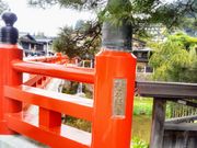 Happyさんの中橋の投稿写真1