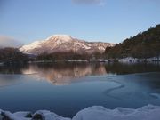 鳩さんの三島池の投稿写真1