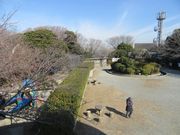 ま〜ぼ〜さんの披露山公園の投稿写真1