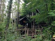 omicoさんの珈琲 森の時計の投稿写真1