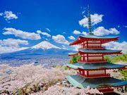 チャコさんの新倉山浅間公園の投稿写真1