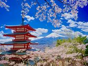チャコさんの新倉山浅間公園の投稿写真2