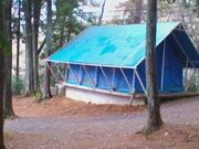 のせたけさんの能勢温泉の投稿写真2