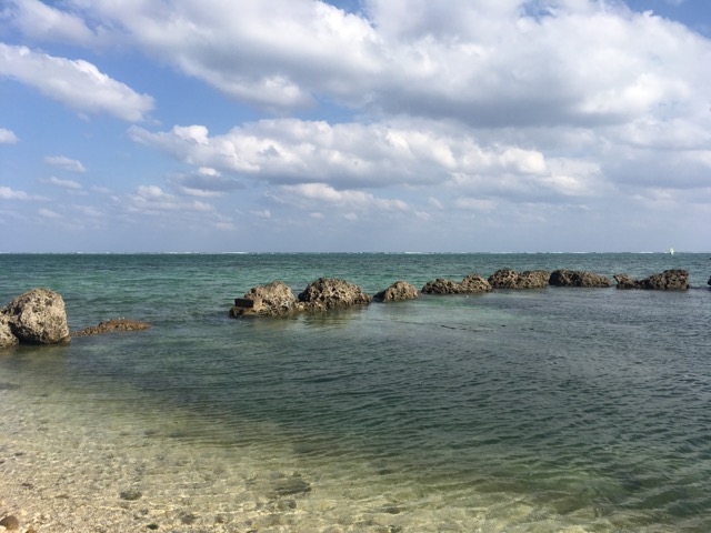 透き通る海_白保海岸