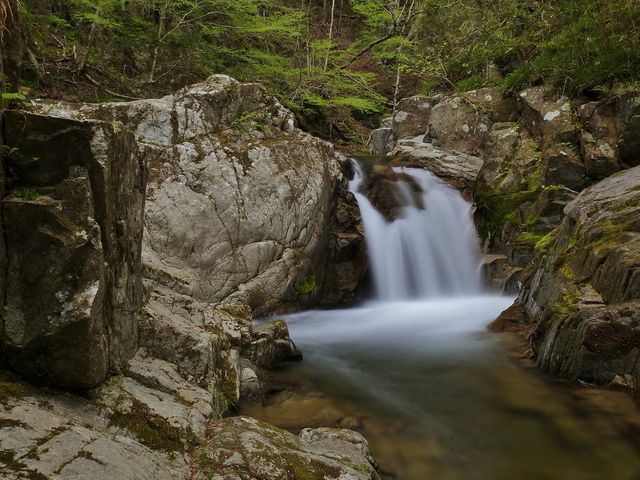 まーさんの背戸峨廊の投稿写真2