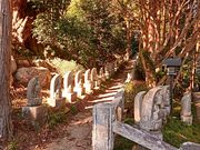 まーさんの閼伽井嶽の投稿写真6