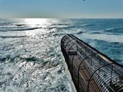 まーさんの三崎の投稿写真3