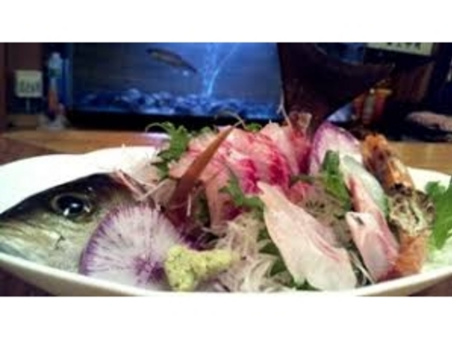 釣きち_釣きち