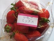 バシリスクさんの田中ストロベリーファームの投稿写真3