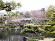 こぼらさんの好古園の投稿写真1