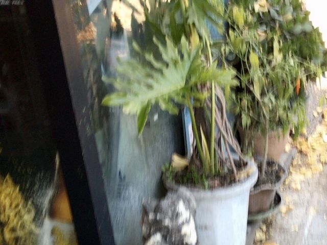 入口_上町サイゴン