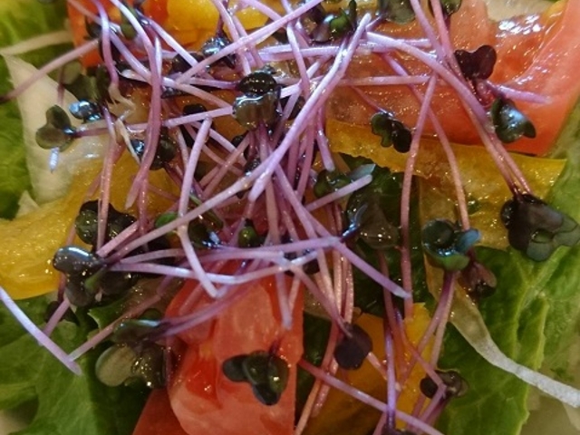 おいしいのだ_モスバーガー41号萩野通店