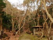 しちのすけさんの龍野公園の投稿写真1