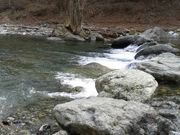 タツヤさんのベリーパーク in FISH-ON!鹿留の投稿写真1