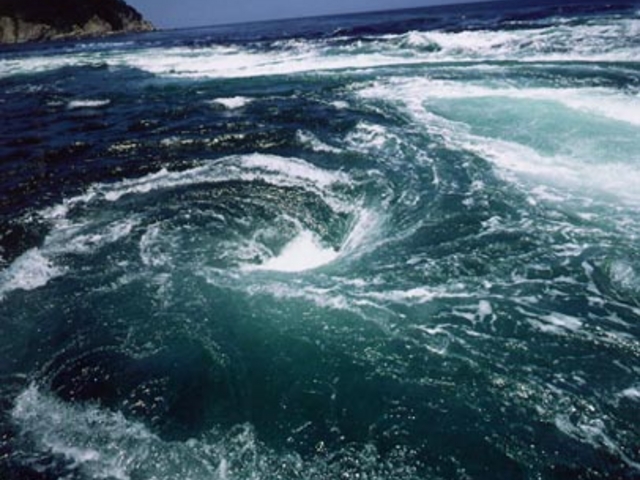 流れくる渦潮を追って!_うずしお汽船