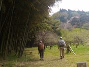 まりさんのせせらぎの滝山口桂司農園の投稿写真1