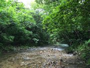 こかんさんの古見岳の投稿写真1