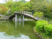 マックさんの二上山ふるさと公園の投稿写真16