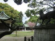鶴亀松竹梅扇さんの明治川神社の投稿写真1
