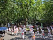 ゆうちゃんさんの仙台・青葉まつりの投稿写真2