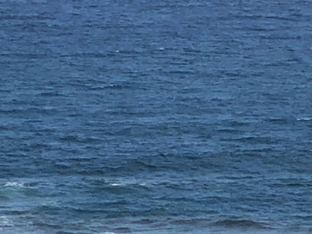 ととさんのワンジョ海水浴場の投稿写真1