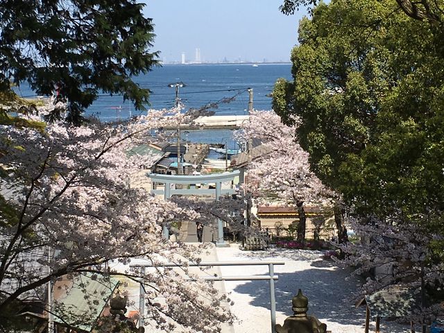 海が見えます_走水神社