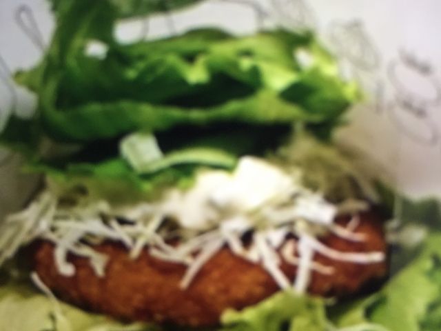 シャキシャキ_モスバーガー第二阪和和泉店