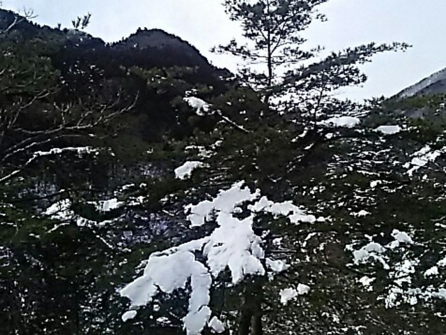 鬼怒川の雪木_鬼怒川公園岩風呂