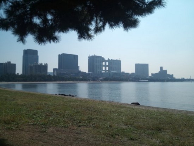 デックス東京ビーチより_デックス東京ビーチ