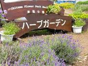 世田谷区等々力の住人さんの置賜公園ハーブガーデンの投稿写真1