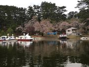 ミルク丸さんの芦野湖の投稿写真1