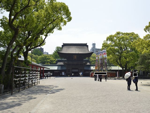 入口から広い_筥崎宮