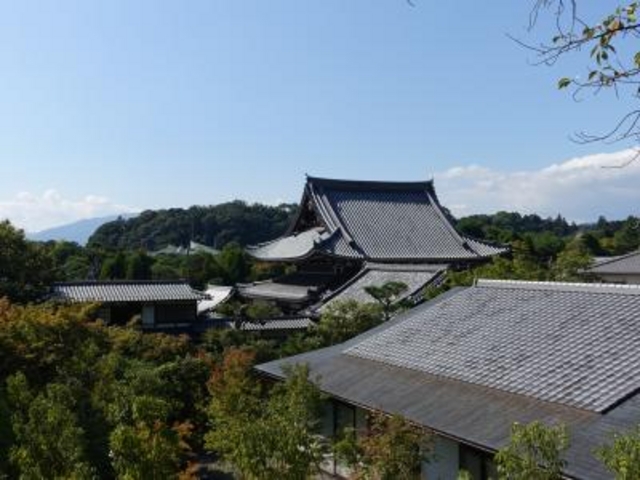 周りを緑に囲まれています_南禅寺禅センター・光雲寺