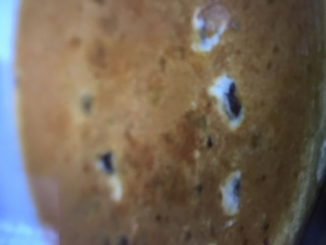 美味しい_御座候 近鉄橿原店