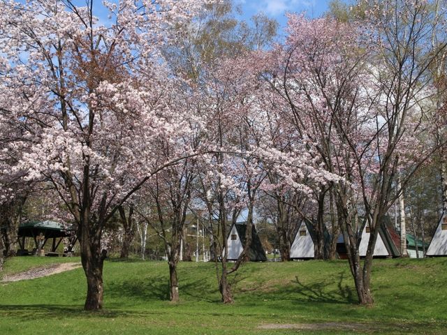たかちゃんさんのひがしかぐら 森林公園 キャンプ場の投稿写真2