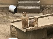 もなさんの弥生いこいの広場の投稿写真1