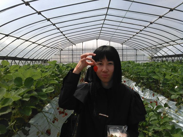 小粒ですが甘くて美味しい_ベリーランドあきひめ