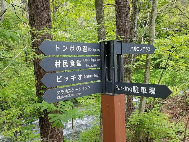 駐車場から散歩しながら・・・_ベーカリー&レストラン・沢村