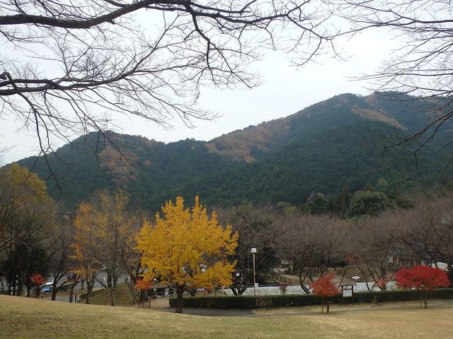 岳さんの観音岳の投稿写真1