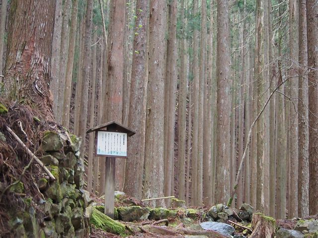 岳さんの世界遺産熊野古道 三浦峠の投稿写真1