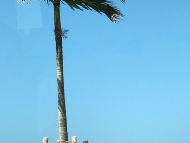 ととさんのえらぶ観光タクシーの投稿写真1