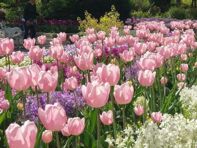 名城公園