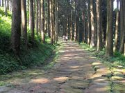 フィジーさんの龍門司坂(国指定史跡)の投稿写真1