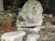 ひげはんさんの鳥地獄・虫地獄の投稿写真1