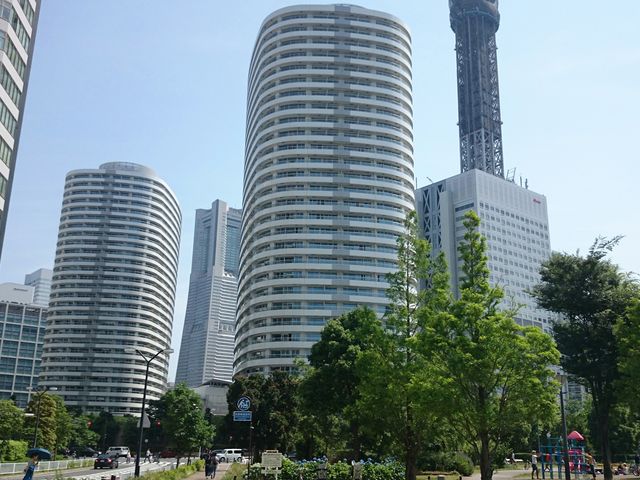 高島中央公園。ランドマークタワーが見える_高島中央公園