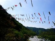 ぴよこさんの神崎いこいの村グリーンエコー笠形の投稿写真1