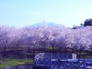 芽衣さんの津軽富士見湖パークの投稿写真1