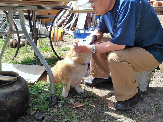空き時間には犬がお相手_陶工房美土里の洞