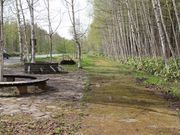 たかちゃんさんの白樺遊歩道コースの投稿写真2